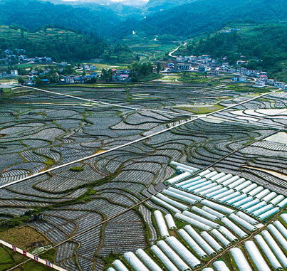 忠县黄金镇高标准农田建设项目